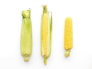 Corn on the cob isolated on a white background, top view.