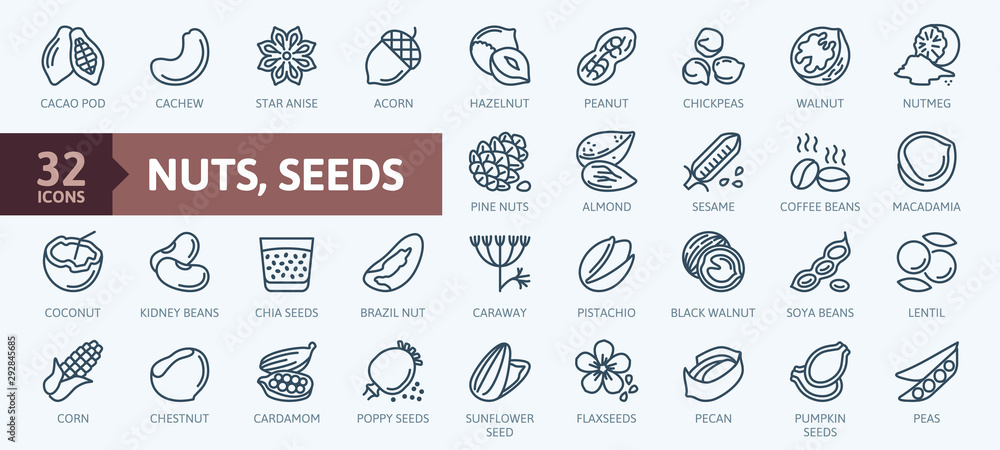 Nuts, seeds and beans elements - minimal thin line web icon set. Outline icons collection. Simple vector illustration. - obrazy, fototapety, plakaty 