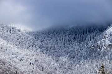 Snowy mountains