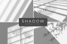 Set Of Shadow Overlay Effects. Vector Shadow And Light Overlay Effect, Natural Lighting Scene. Mockup Of Transparent Shadow From Window, Monstera Leaves And Plants