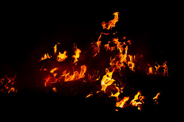 Flame of fire on a black background