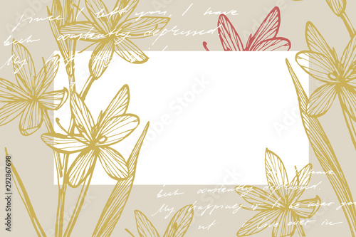 Collection of hand drawn flowers and plants. Botany. Set. Vintage flowers. Bl...