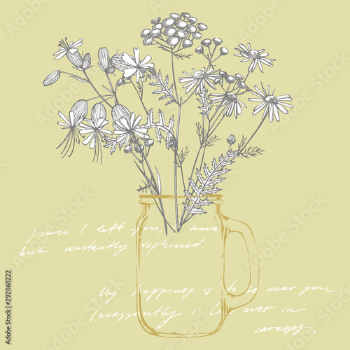 Tansy and Chamomile. Bouquet of hand drawn flowers and herbs. Botanical plant...