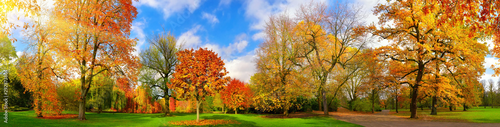 Colorful park panorama in autumn - obrazy, fototapety, plakaty 
