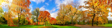 Colorful Park Panorama In Autumn