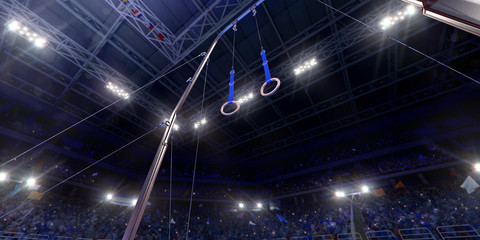 Professional gymnastic gym with gymnastic rings. 3D illustration