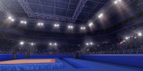 Wall Mural - Professional gymnastic gym. 3D illustration