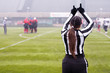 rear view of female american football referee