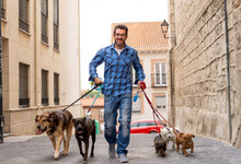 Smiling Professional Dog Walker With Dogs On Leash On A Walk In The City
