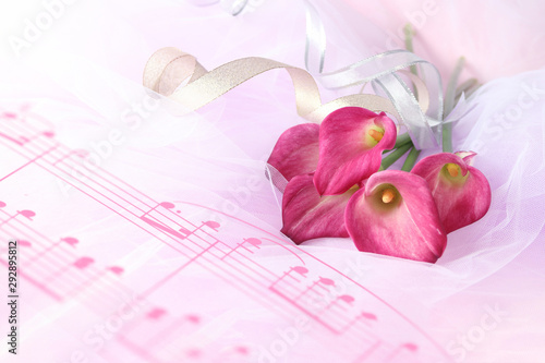 ワインレッドのカラーの花束 チュール背景 Buy This Stock Photo And Explore Similar Images At Adobe Stock Adobe Stock