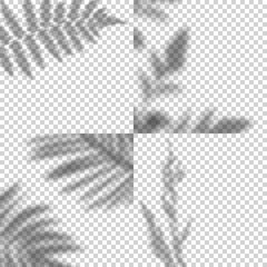 Fototapete - Vector Set of Transparent Shadows of Leaves. Decorative Design Elements. Creative Overlay Effect for Mockups