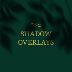 Fototapete - Vector Transparent Shadows of Leaves. Decorative Design Element for Collage and Mock Up. Overlay Effect for Mockups