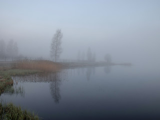 Wall Mural - mist picture with tree silhouettes in the morning, beautiful mist on the lake, frost on the ground