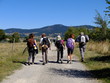 © Ourson+ - groupe de randonneurs en montagne sur piste