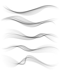 Wall Mural - set of gray abstract wave design element