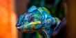 canvas print picture - chameleon with amazing colors