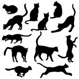 Fototapeta Pokój dzieciecy - Vector Cats Silhouettes. Black Feline Outline Logos