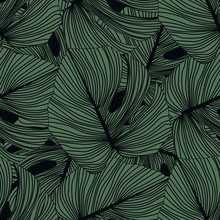 Monstera Leaves Seamless Pattern On Black Background. Tropical Pattern, Botanical Leaf Backdrop.