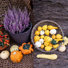 Pumpkins And Flowers On Burlap Free Stock Photo - Public Domain Pictures