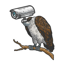 Griffin Vulture Bird With Surveillance Camera Cctv Head Sketch Engraving Vector Illustration. Tee Shirt Apparel Print Design. Scratch Board Style Imitation. Hand Drawn Image.