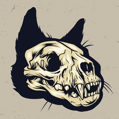 Sticker - Colorful cat skull concept