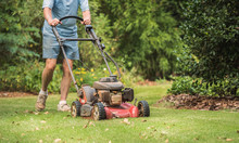 Male Landscaper Cutting Backyard Grass With Gas Powered Lawn Mower. Mowing Residential Lawn With Walk Behind Push Mower.