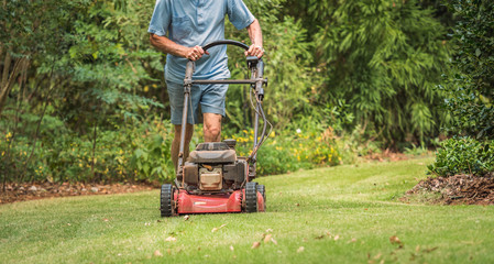 Wall Mural - Male landscaper cutting backyard grass with gas powered lawn mower. Mowing residential lawn with walk behind push mower.