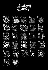 Wall Mural - Anantomy big hand drawn set of human organs medical poster print