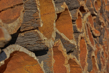 Cork, cork tree bark stacked for processing