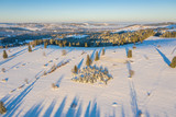 Fototapeta Na ścianę - Winter nature aerial view. Snowy meadow with pine trees from above. Frosty landscape of countryside