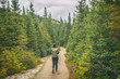 © Maridav - Hiker travel woman walking on trail hike path in forest of pine trees. Canada travel adventure girl tourist trekking in outdoors nature.