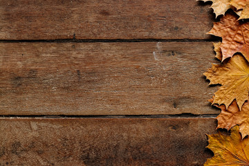  Autumn leaves on wooden background with copy space. Wallpaper for September 1.