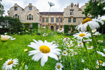 Wall Mural - The medieval Treasurer's House in the city of York