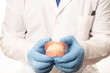 © Denis - A dentist doctor in a white coat holds a false jaw in his hands. The concept of healthy teeth.