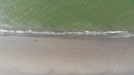 Wall Mural - Aerial View of waves on the Beach of Dunkirk and Malo les Bains in France During the Summer