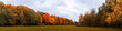 Warm autumn panorama of the lowland in the Park with yellowed and reddened trees stretching into the distance to the horizon with a blue sky covered with clouds, Indian summer in the forest, field