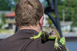 Man walking with colorful Iguana on his shoulder