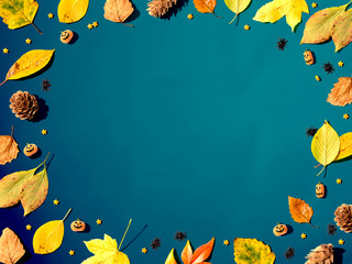 Wall Mural - halloween and autumn leaf border from above - flat lay