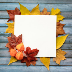 Wall Mural - autumn composition of maple leaves and square white paper. flat lay, top view