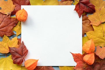 Wall Mural - autumn composition of maple leaves and square white paper. flat lay, top view