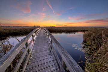 Poster - Wooden bridge for bicycles