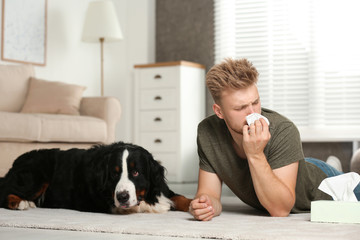 Wall Mural - Young man suffering from fur allergy at home