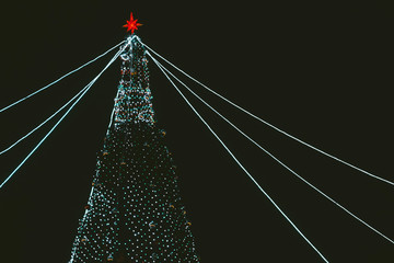 Wall Mural - Christmas tree winter night on black background