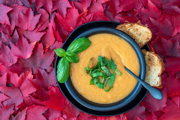 fall harvest bisque soup of pureed squash and other fall vegetables, in a black bowl and plate, toas