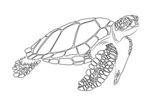 Graphic Sea Turtle,vector Illustration Of Sea Turtle
