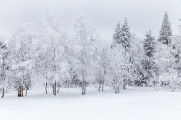 Winter landscape. Taganay national Park, Chelyabinsk region, South Ural, Russia