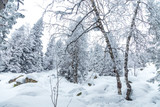 Fototapeta Na ścianę - Winter landscape. Taganay national Park, Chelyabinsk region, South Ural, Russia