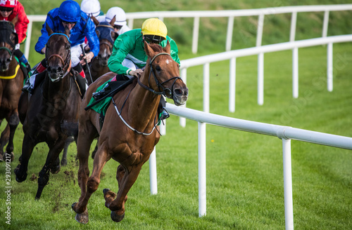 Fotografía Galloping race horses and jockeys racing towards the finish line