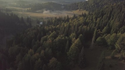 Poster - Aerial view. Flight over forest during sunrise with fog in the valley