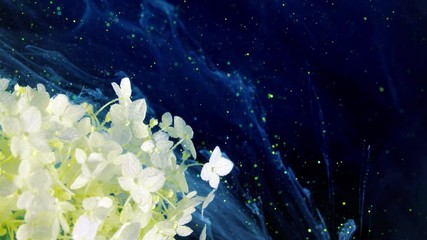 Wall Mural - luxurious white  Hydrangea flower. Wedding, Valentine's Day, Mother's Day.